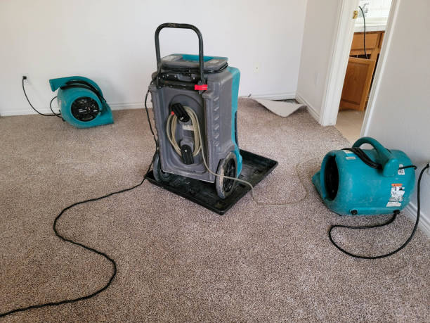 Best Local water damage restoration  in Utica, SC