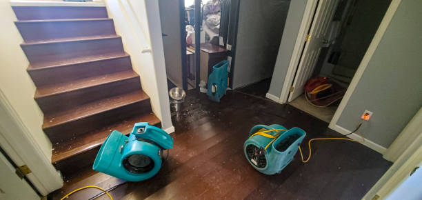 Best Water damage contractors near me  in Utica, SC
