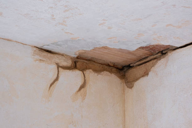 Best Flood damage cleanup  in Utica, SC