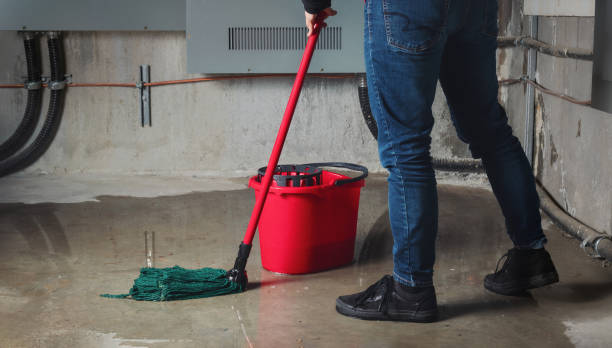 Best Water damage restoration near me  in Utica, SC