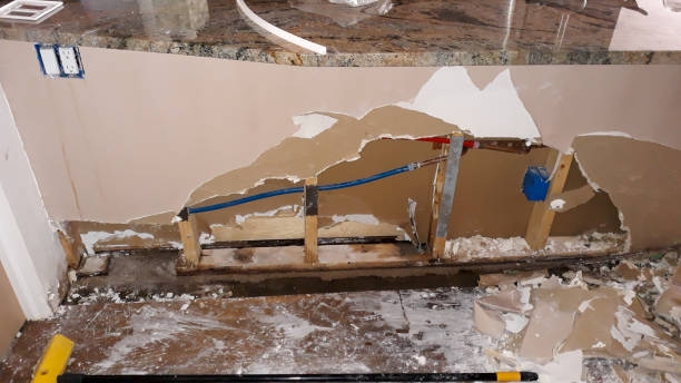 Best Mold removal after water damage  in Utica, SC