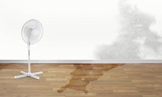 Best Water damage restoration services  in Utica, SC