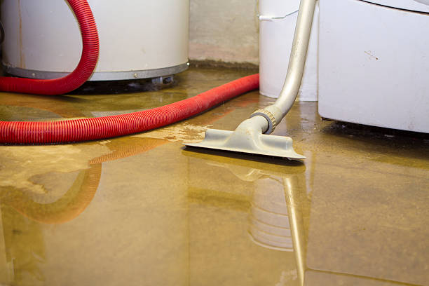 Best Water damage restoration specialists  in Utica, SC