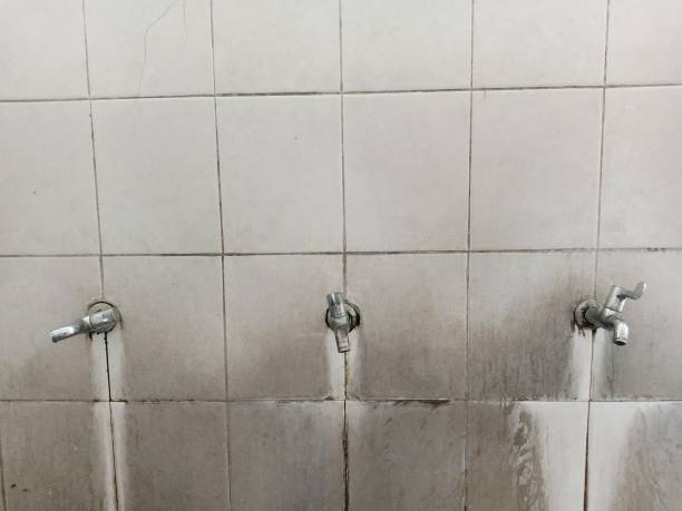 Best 24/7 water damage repair  in Utica, SC
