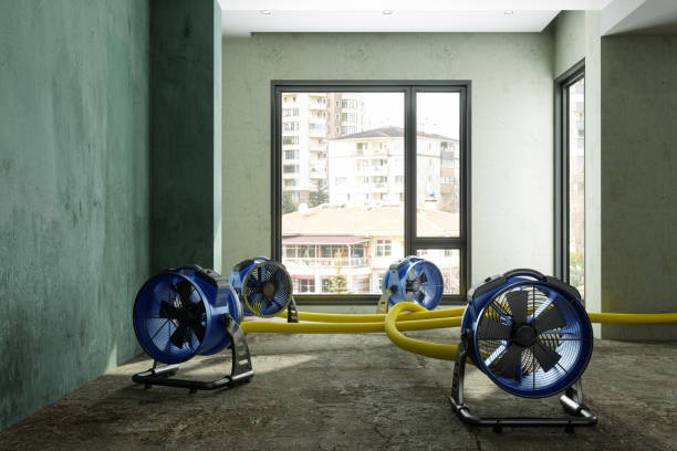 Best Water damage restoration experts  in Utica, SC
